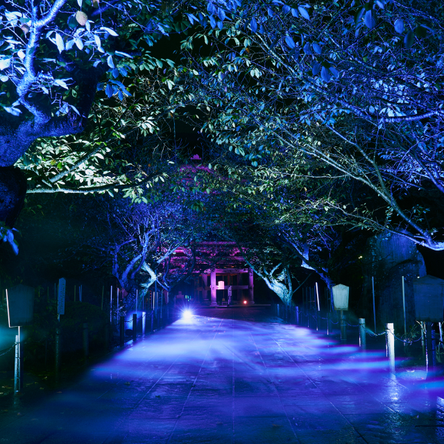 ZEN NIGHT WALK KAMAKURA